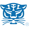 Birmingham Panther