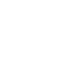 Birmingham Panther