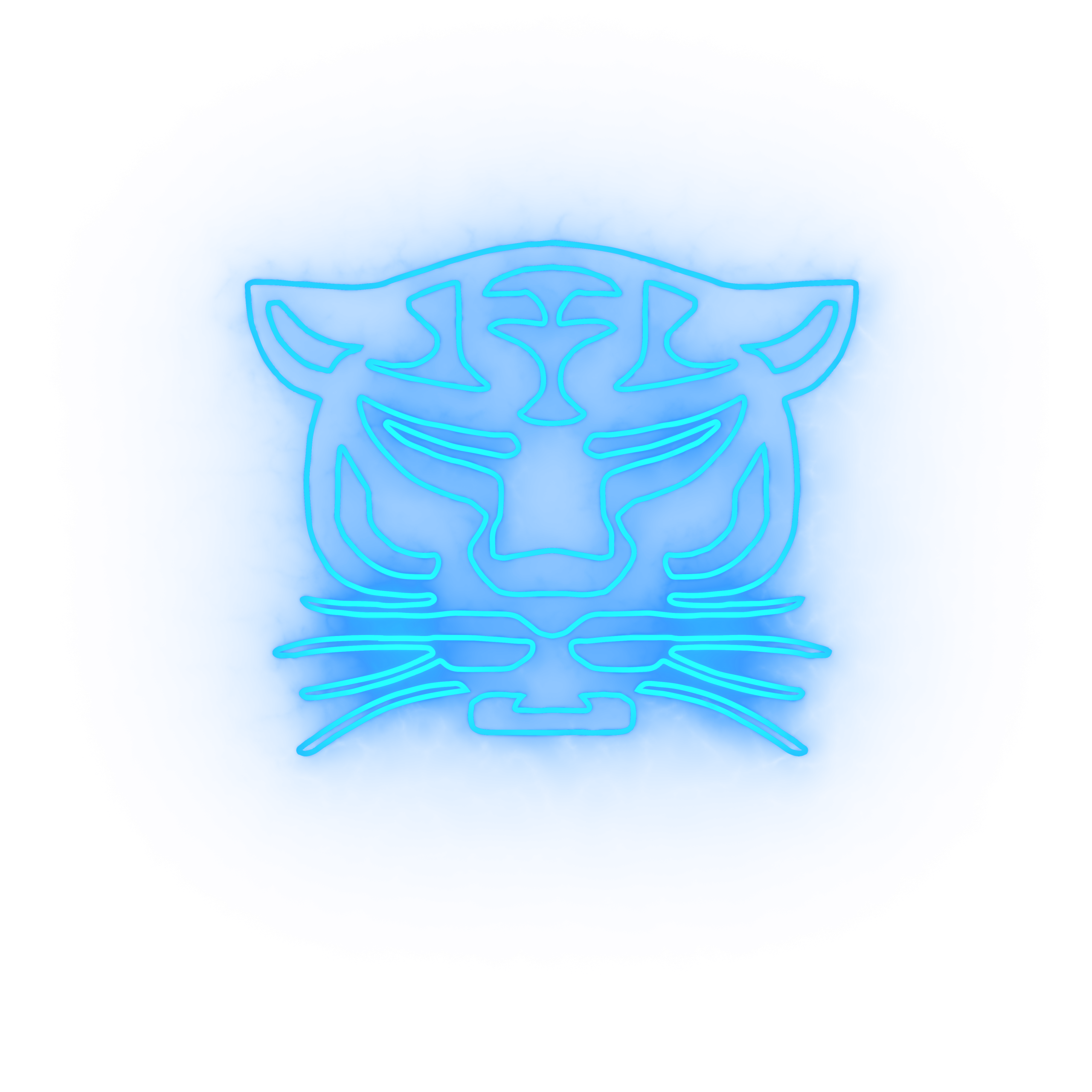 NSL